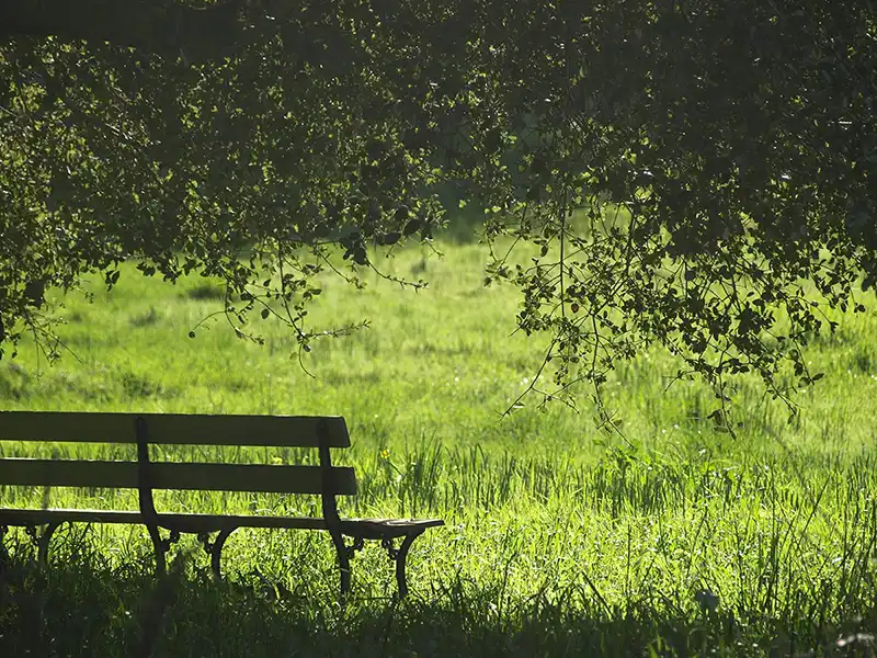 Sitzgelegenheit mitten in der Ruhe der Natur zur Muskelentspannung und Seelenfrieden