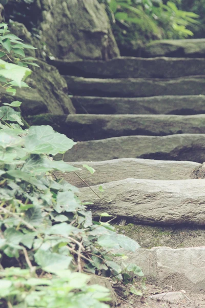 Treppenstufen in der Natur mit individuellen Stufenformen